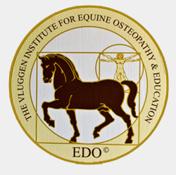 View my qulifications - Vluggen Institute for Equine Osteopathy & Education Diploma View my qulifications - Vluggen Institute for Equine Osteopathy & Education Diploma